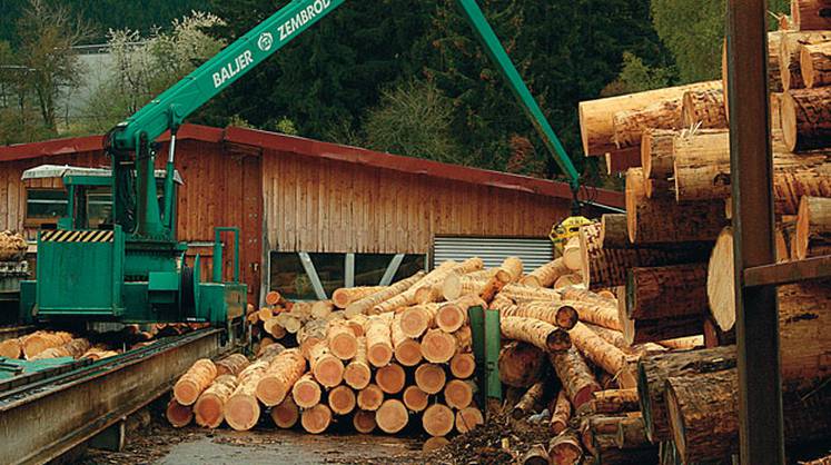 Санкции в древесной проиышленности